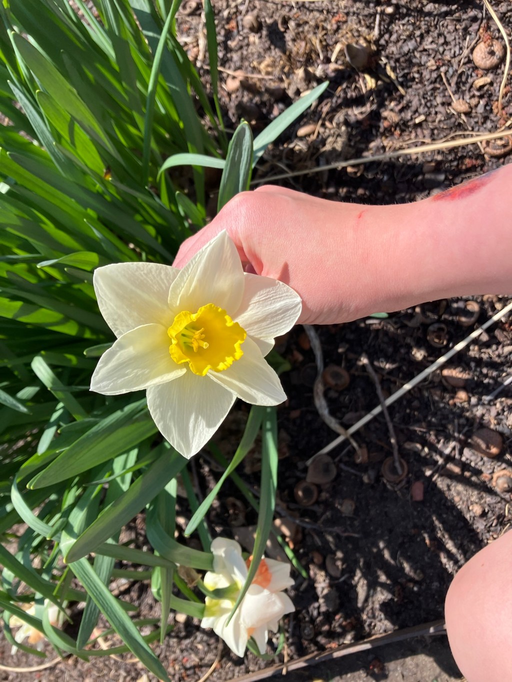 Mom Fails & Manor&nbsp;Houses