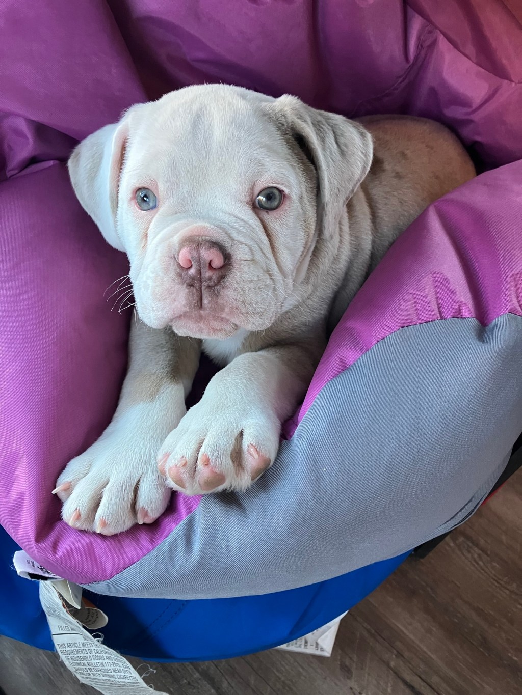 Five Exciting Things & Finally&nbsp;Returning