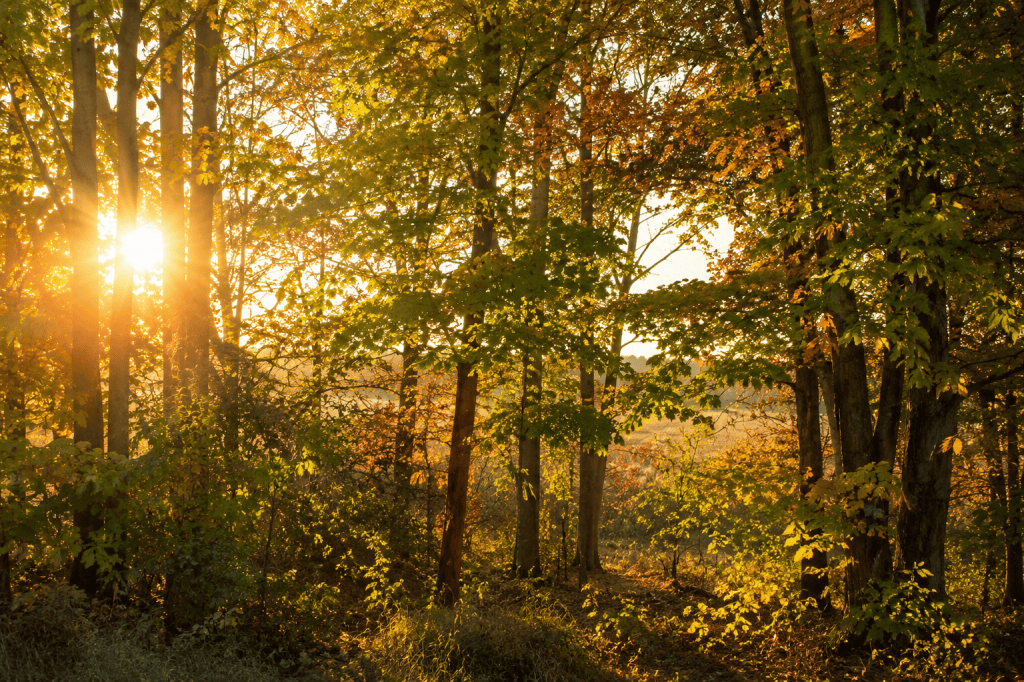 Slowing & September